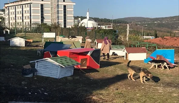 Umuttepe’deki sokak hayvanlarına yardım eli