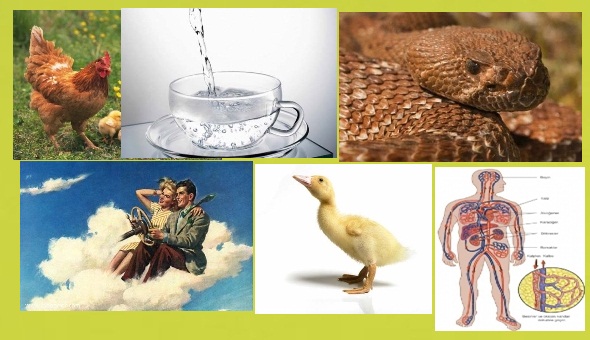 BUNLARI BİLİYORMUSUNUZ?