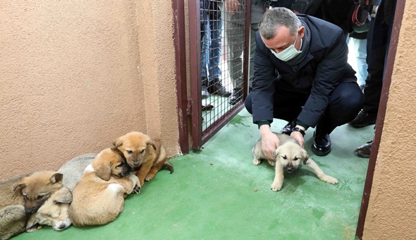  2021 yılı için 120 ton mamamız hazır