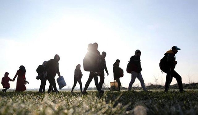 223 kaçak göçmen daha sınır dışı edildi