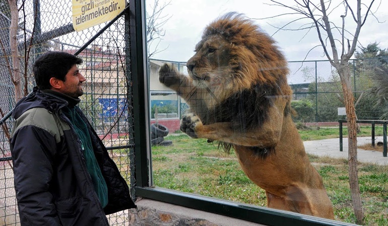 24 Kasım’da öğretmenlere ücretsiz!