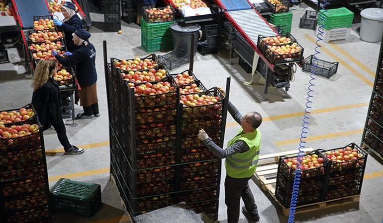 25 ülkeye meyve ihraç eden o dev şirket de zorda!