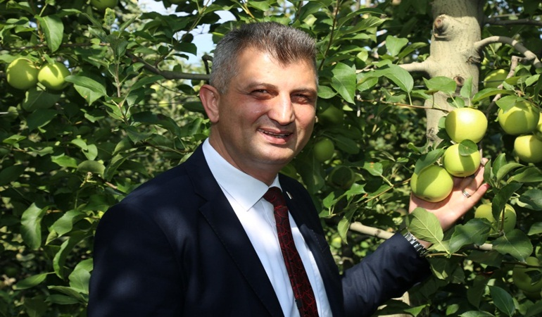 28. Yeşil İhsaniye Elma Festivali başlıyor