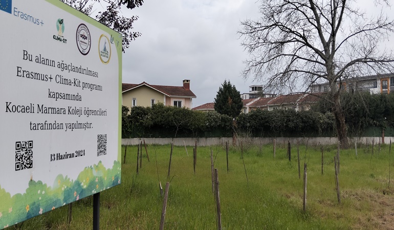 Ağaçlandırma böyle mi olur?