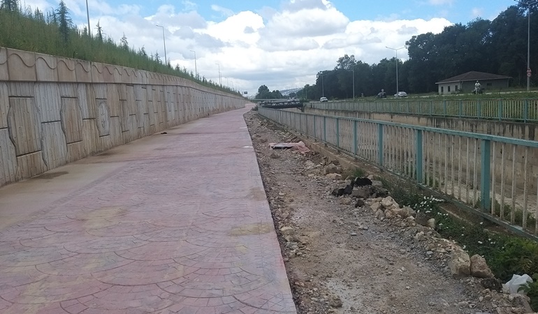 Ağaçları yok ettiler!