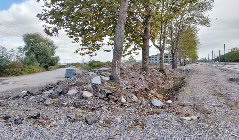 Ağaçların diplerini gübre atar gibi molozla doldurdular!