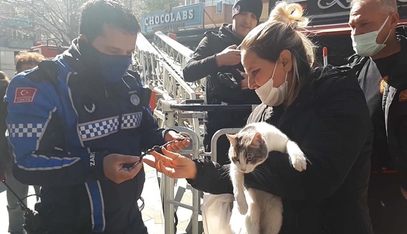Ağaçta mahsur kalan kediyi itfaiye kurtardı