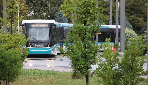 Akçaray 3 yaşında