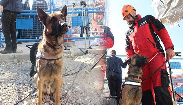 Akıllı köpek enkaz altındaki 5 kişinin yerini buldu