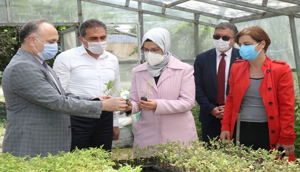 AKP’li vekil Sezer ata tohum projesini yerinde inceledi