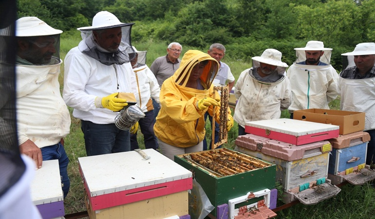 Arı yetiştiricileri ilkleri KO-MEK’te öğreniyor