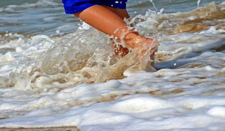 Aşırı ısınan deniz suyu yüzünden olacakları açıkladı
