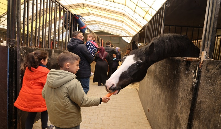 At sevgisi küçük yaşta aşılanıyor