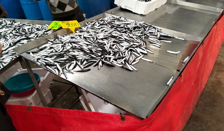 Avlanmaları yasak olan küçük balıklar tezgahlarda