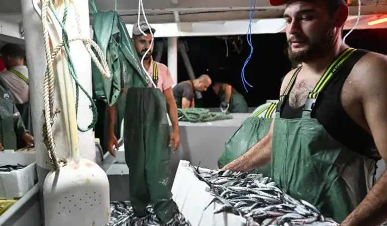 Balık tüketimi düşüşte