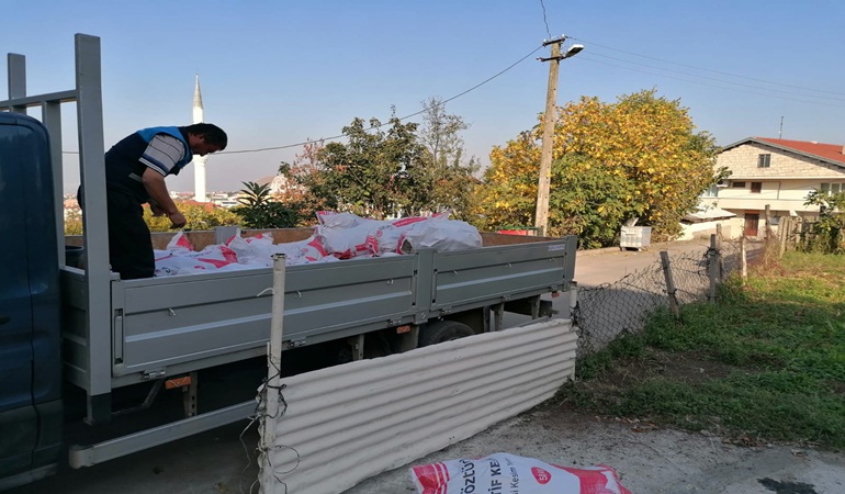 Başiskele’de budanan ağaçların dalları garibanlara yakacak oldu