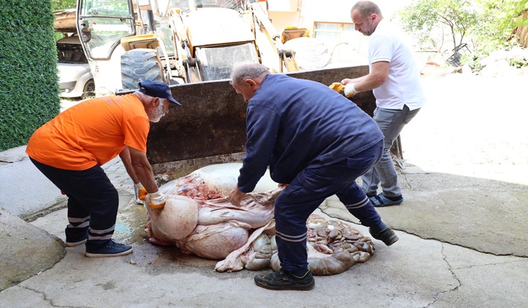 Başiskele´de kurban atıkları mesaisi