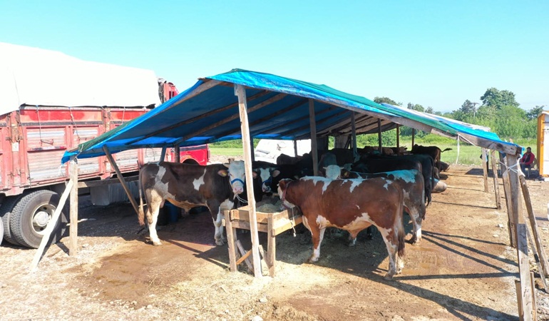 Başiskele’de Kurban Pazarı hazır
