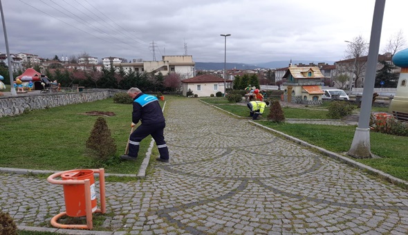 Başiskele’de kuruyan ağaçların yerine yenileri dikiliyor