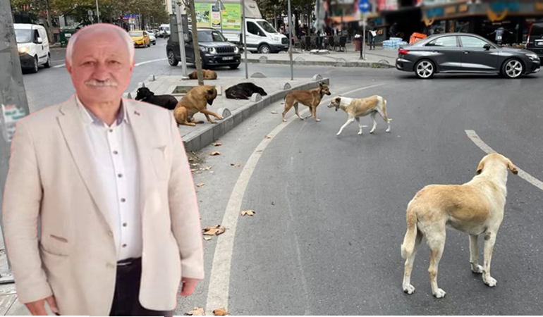 Başkan Can’ın yıllardır söylemekten dilinde tüy bitti! Konu sokak köpekleri