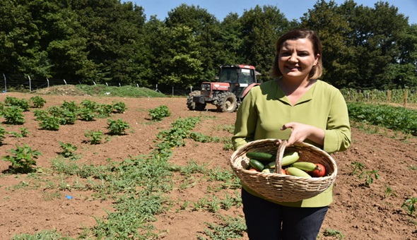Başkan Hürriyet, ilk hasadı kendi elleriyle topladı