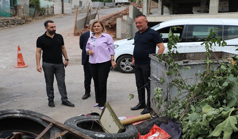 Başkan Hürriyet mahallelerde denetime çıktı