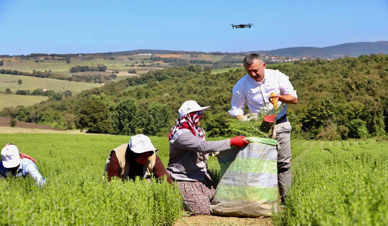 Başkan önce biberiye hasadı yaptı, sonra o tesisin tanıtımına katıldı