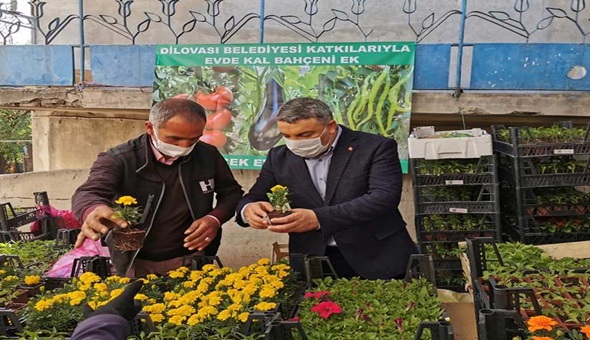 Başkan Şayir vatandaşlara çiçek tohumu dağıttı