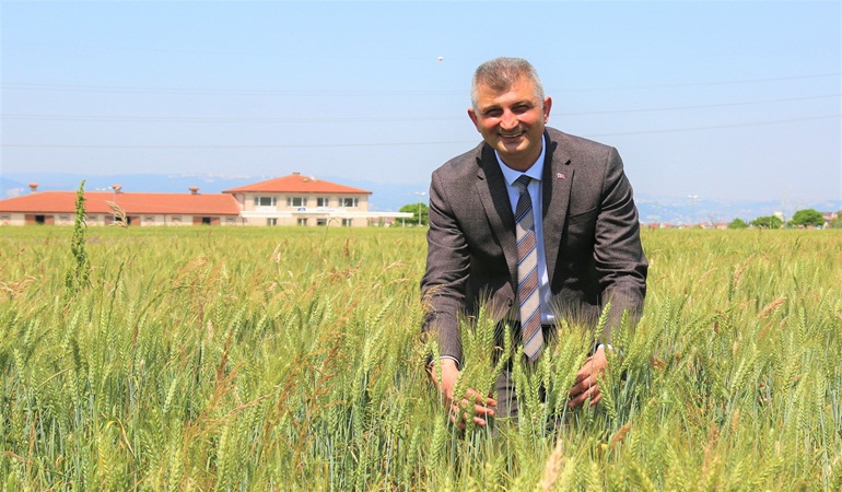 Başkan Sezer: Buğdaylarımız yetişiyor, bereketli olsun inşallah