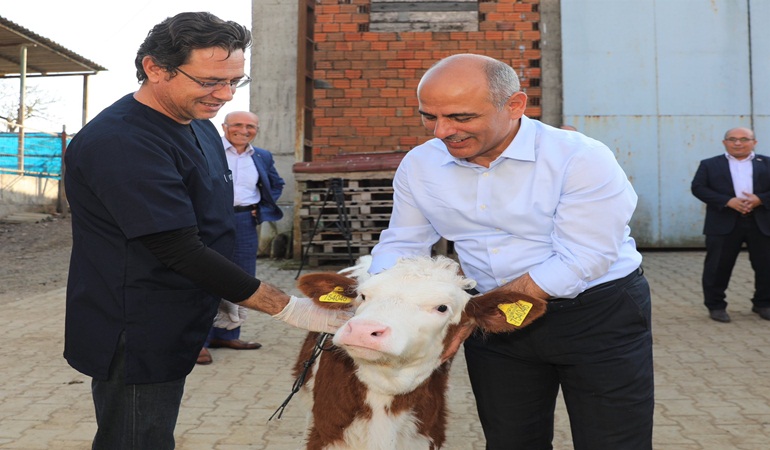 Başkan Söğüt: Aşı ve küpeleme desteği 2023’te de sürecek 