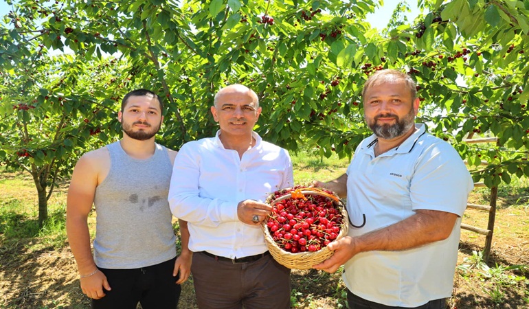 Başkan Söğüt: Kiraz yetiştiricilerine desteğimiz sürecek