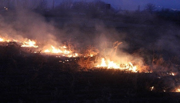 Bataklık denilen arazideki yangın Kartepelileri korkuttu