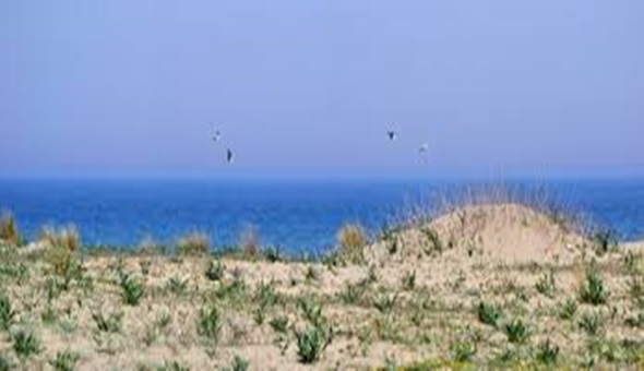 Bir doğa parkı daha yok edildi