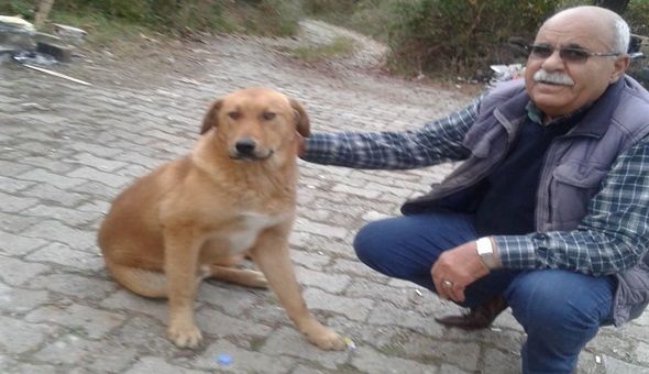 Bir gençle plajda tartışırken kalpten öldü