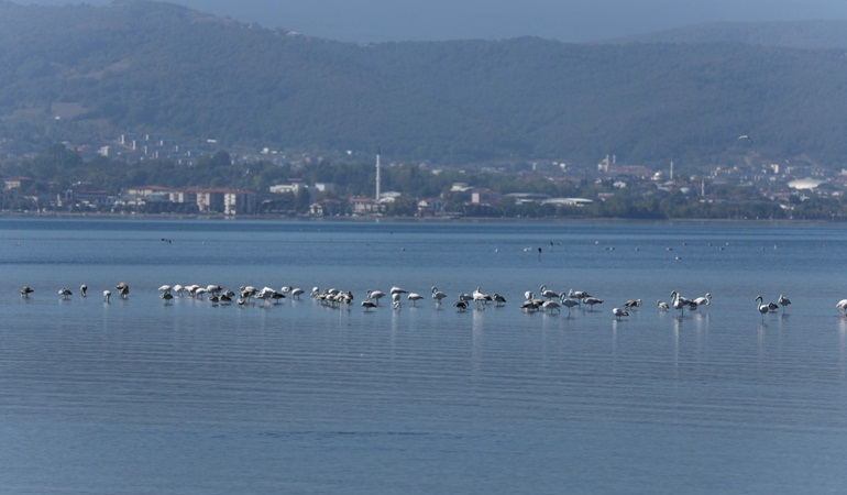 Bu güzelliği görmelisiniz