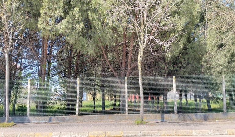 Bu yeşil alanı temizleyin!