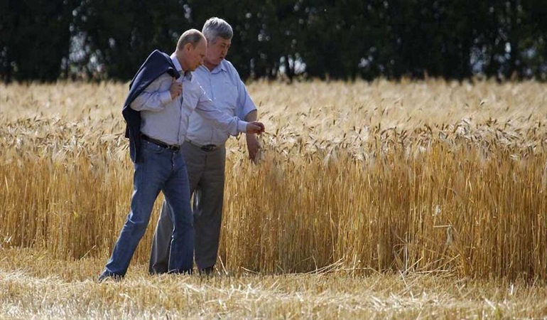Buğday krizi kapıda
