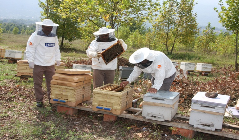 Büyükşehir’den arıcılara 55 ton arı yemi