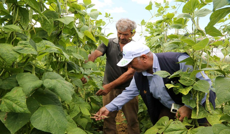 Büyükşehir’den üreticilere yüzde 50 hibeli sera desteği