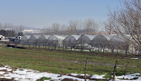 Büyükşehir’in sera desteği çiftçilerin yüzünü güldürdü