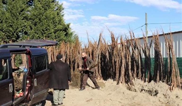 Büyükşehir’in, yüzde 50 hibeli fidan dağıtımı cuma günü sona erecek