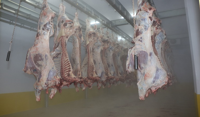 Büyükşehir mezbahasında otomasyon sistemiyle helal kesim