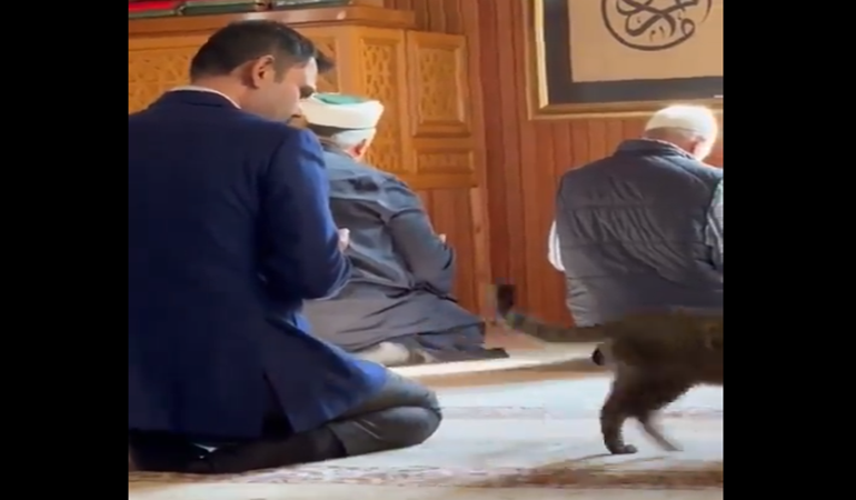 Camiye fotoğraf çektirmek için mi gidiyorsunuz?