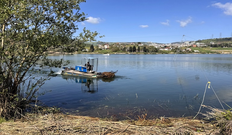 Çayırköy göletini Büyükşehir temizledi