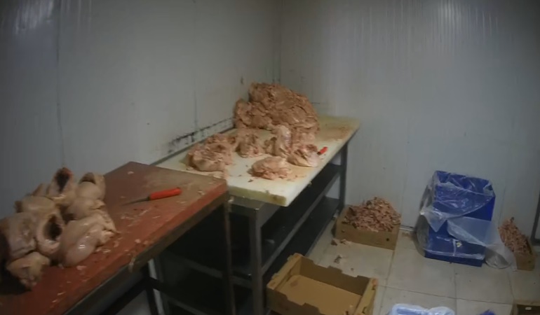 Çayırova’da kaçak üretim yapılan tavuk eti parçalama tesisi mühürlendi