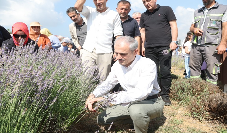 Çayırova’da Lavanta Hasadı Şenliği renkli görüntülere sahne oldu