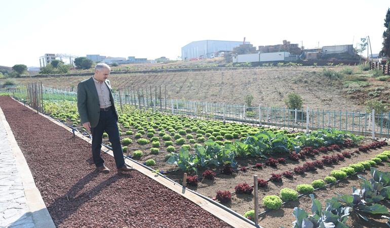 Çayırova’nın nefes alınacak yeşil alanı