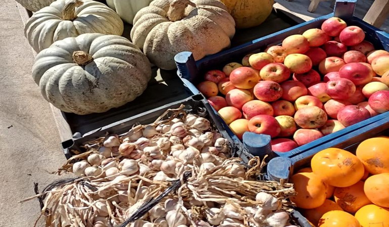 Çiftçiler, Karaabdülbaki Üretici Pazarı’na yoğun ilgi gösteriyor