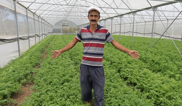 Çiftçilere yüzde 50 hibeli sera desteği