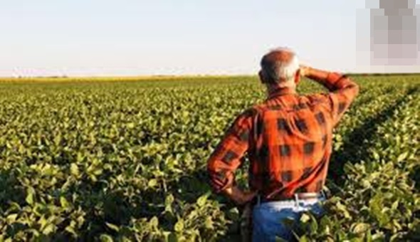 Çiftçiye bir kötü haber daha